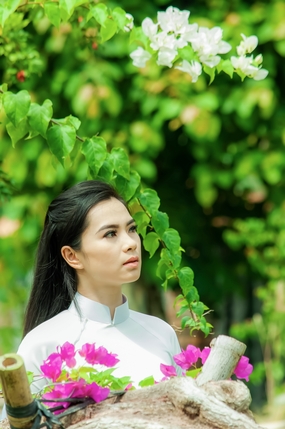 亚洲白色奥黛长发美女摄影图片